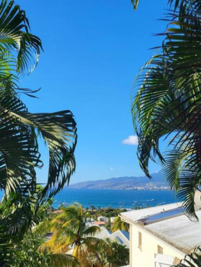 Appartement vue mer. Anse à l'âne. Trois ilets